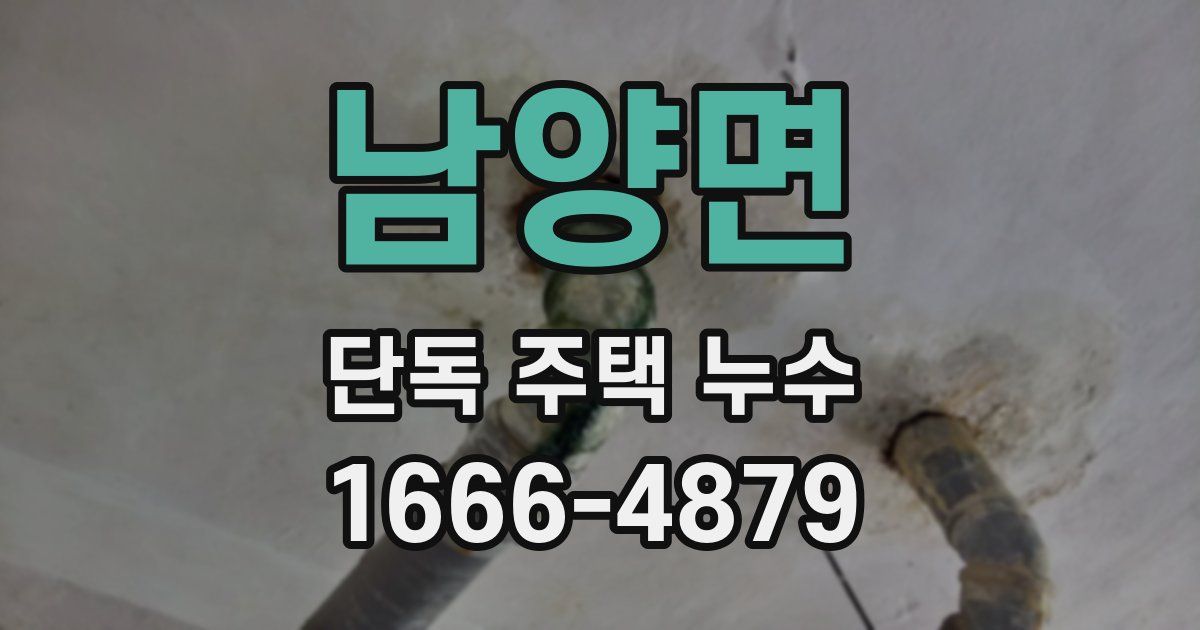 남양면 단독 주택 누수