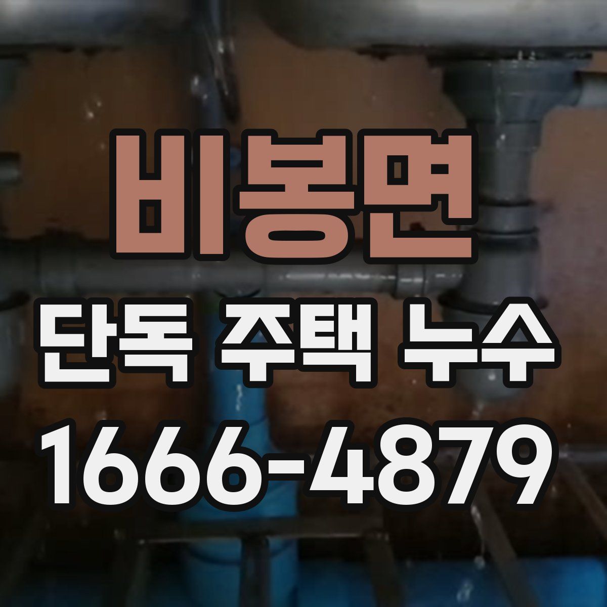 비봉면 단독 주택 누수
