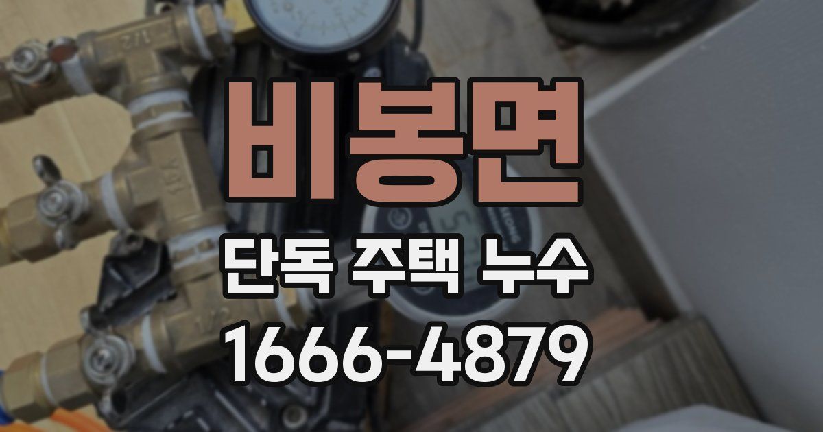 비봉면 단독 주택 누수