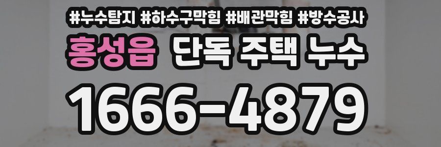 홍성읍 단독 주택 누수