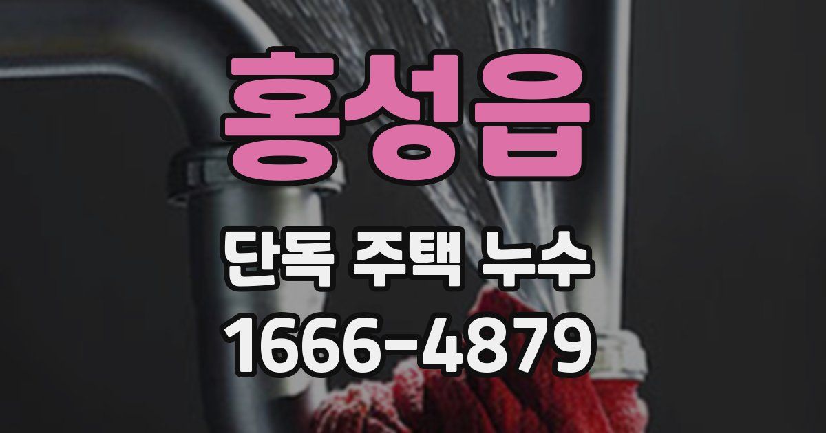 홍성읍 단독 주택 누수