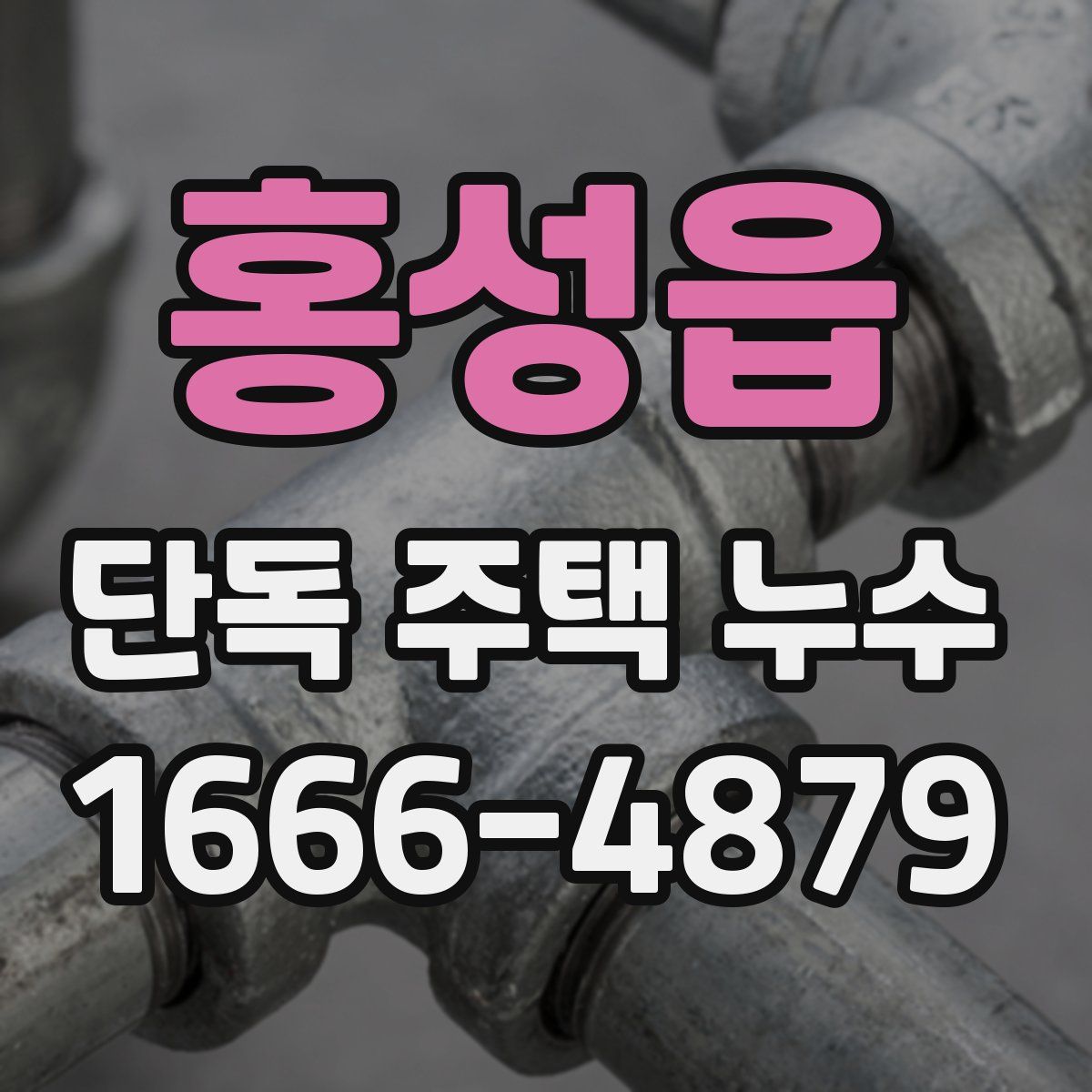 홍성읍 단독 주택 누수