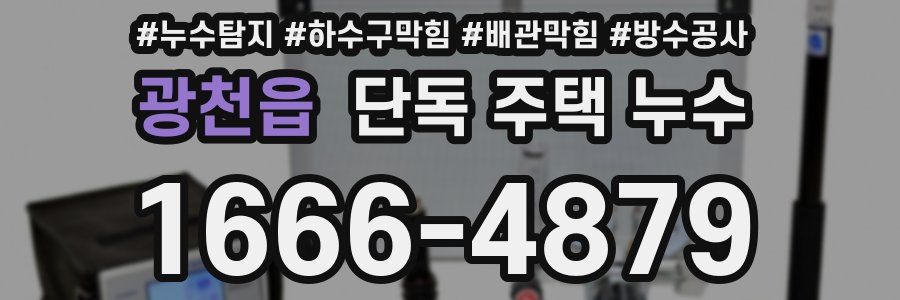 광천읍 단독 주택 누수