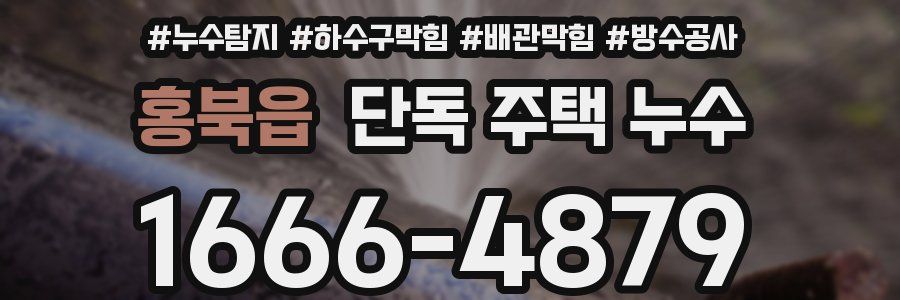 홍북읍 단독 주택 누수