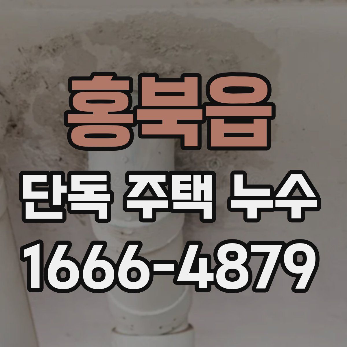 홍북읍 단독 주택 누수