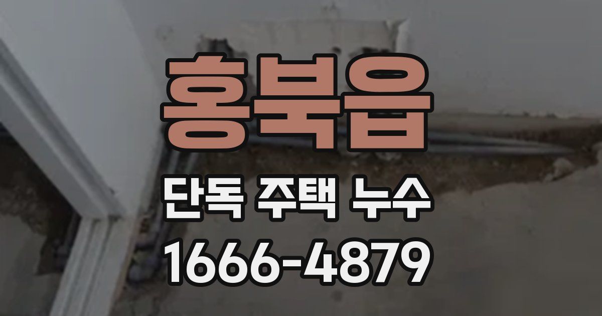 홍북읍 단독 주택 누수