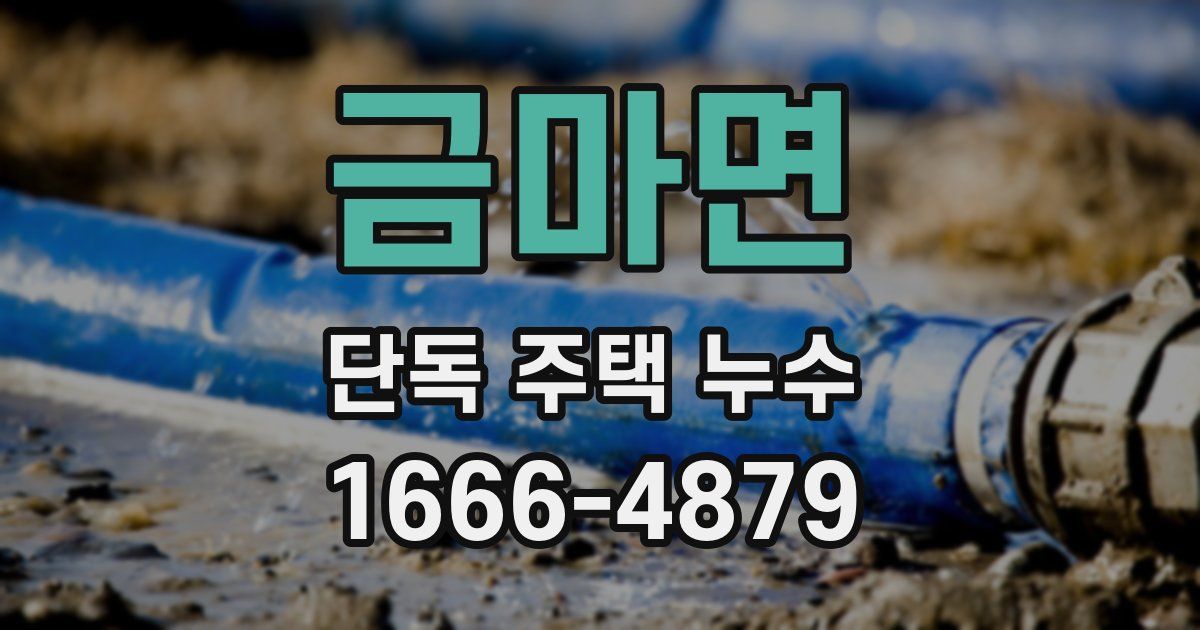 금마면 단독 주택 누수