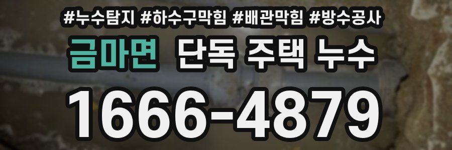금마면 단독 주택 누수