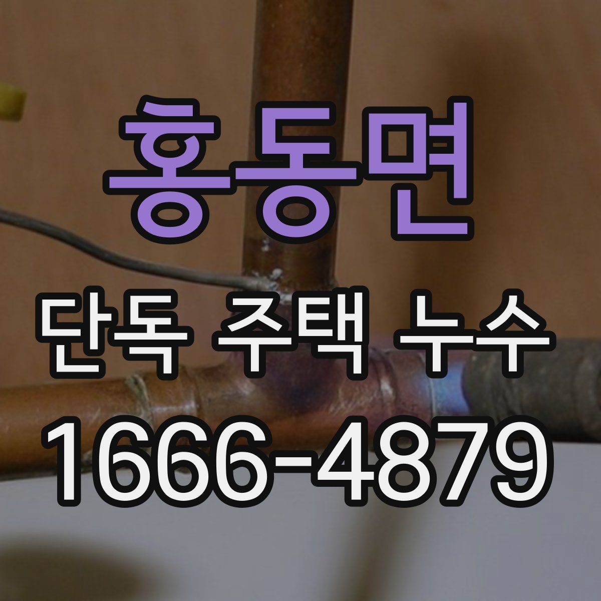 홍동면 단독 주택 누수