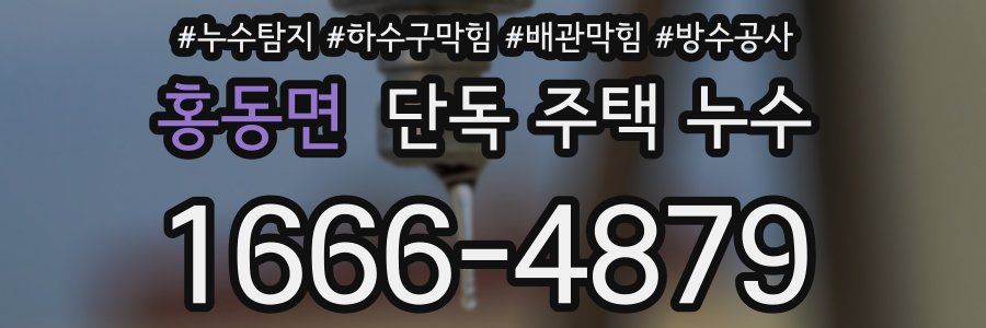 홍동면 단독 주택 누수