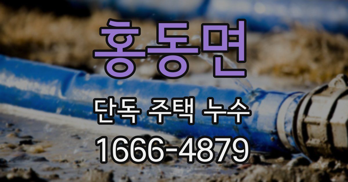 홍동면 단독 주택 누수