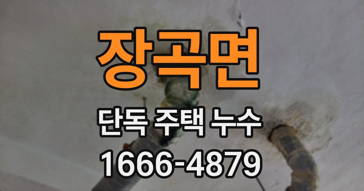 장곡면 단독 주택 누수