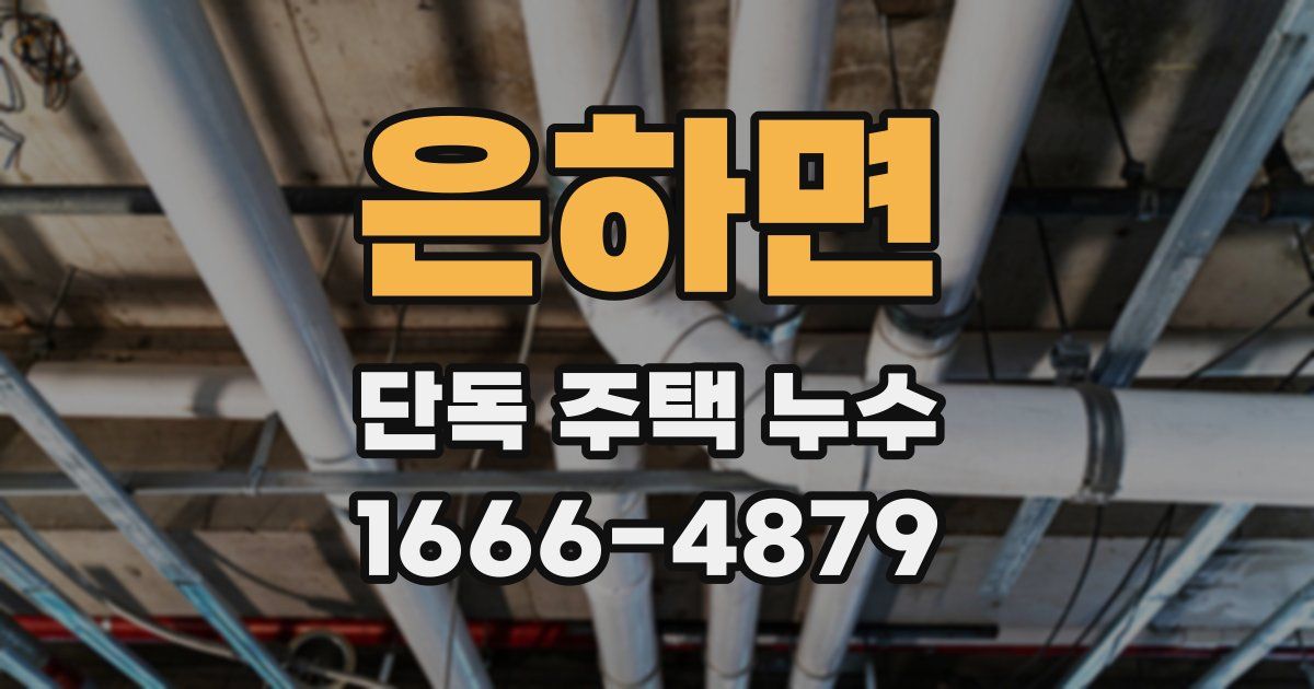 은하면 단독 주택 누수