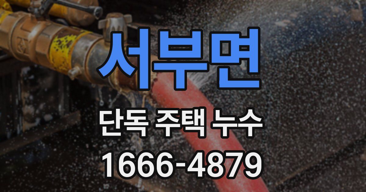 서부면 단독 주택 누수