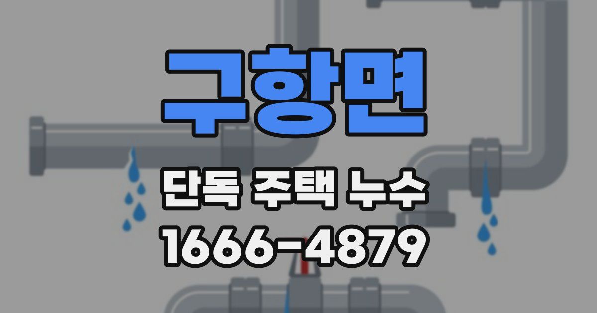 구항면 단독 주택 누수