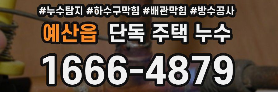 예산읍 단독 주택 누수