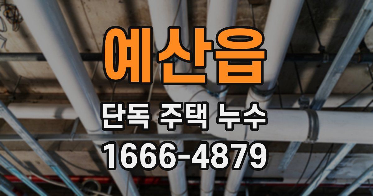 예산읍 단독 주택 누수