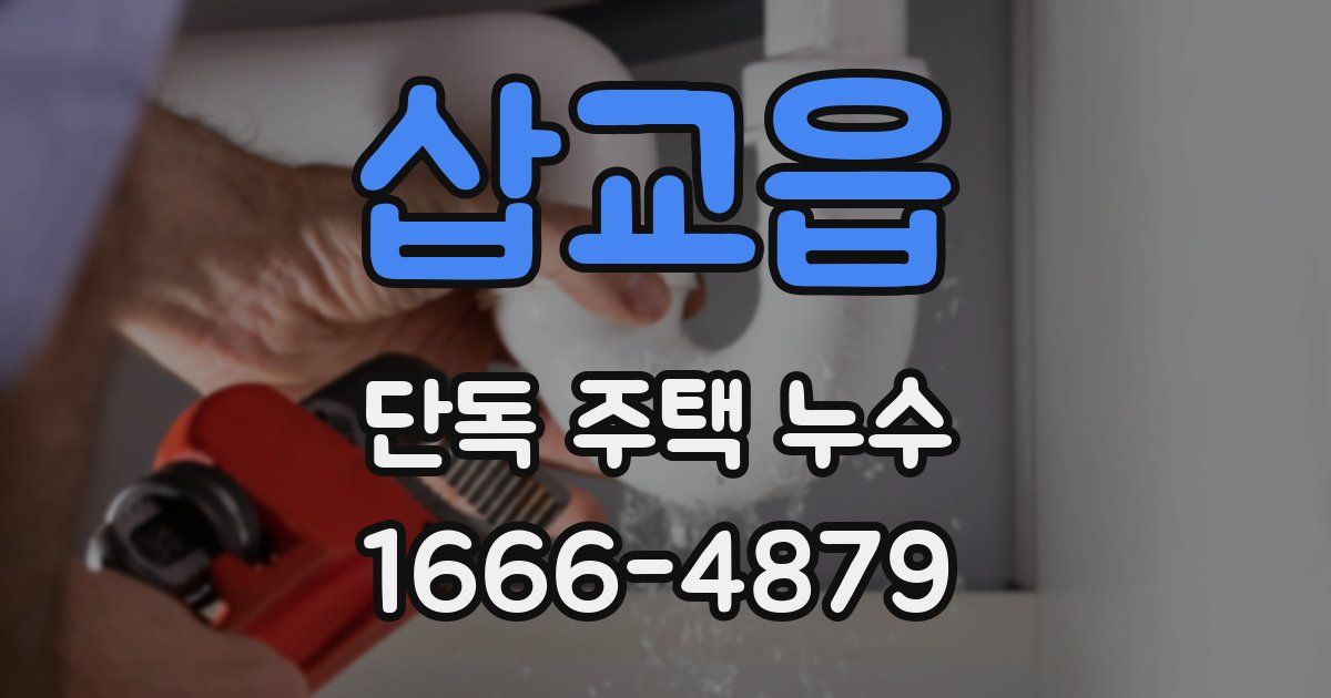 삽교읍 단독 주택 누수