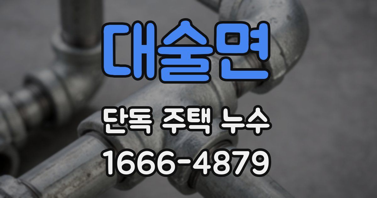대술면 단독 주택 누수