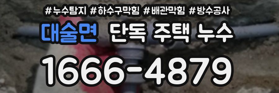 대술면 단독 주택 누수