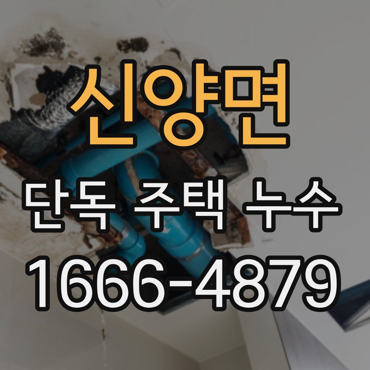 신양면 단독 주택 누수