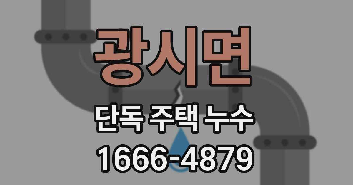 광시면 단독 주택 누수