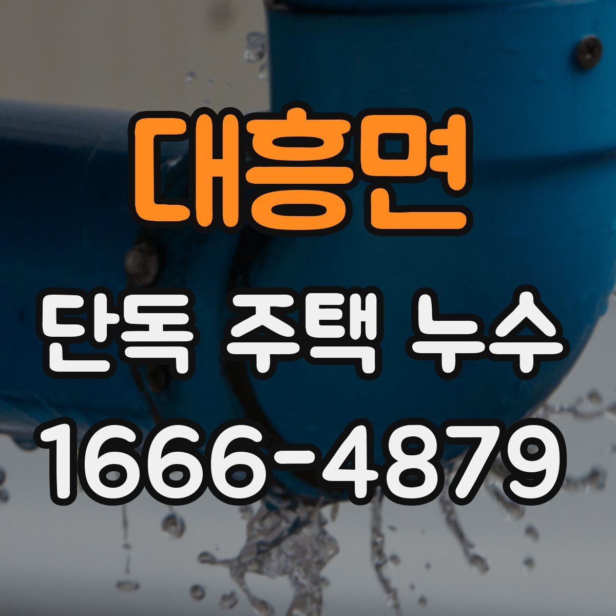 대흥면 단독 주택 누수