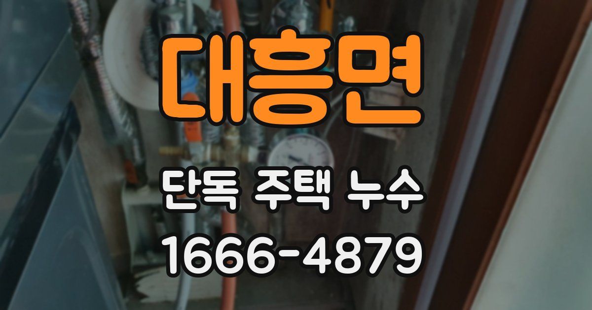 대흥면 단독 주택 누수