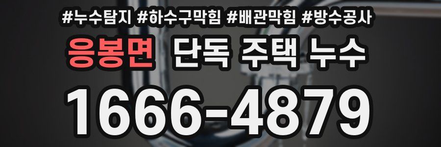 응봉면 단독 주택 누수