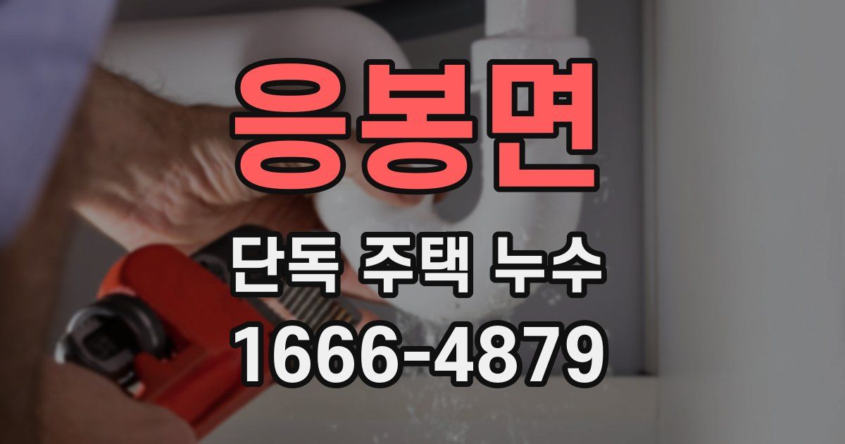 응봉면 단독 주택 누수