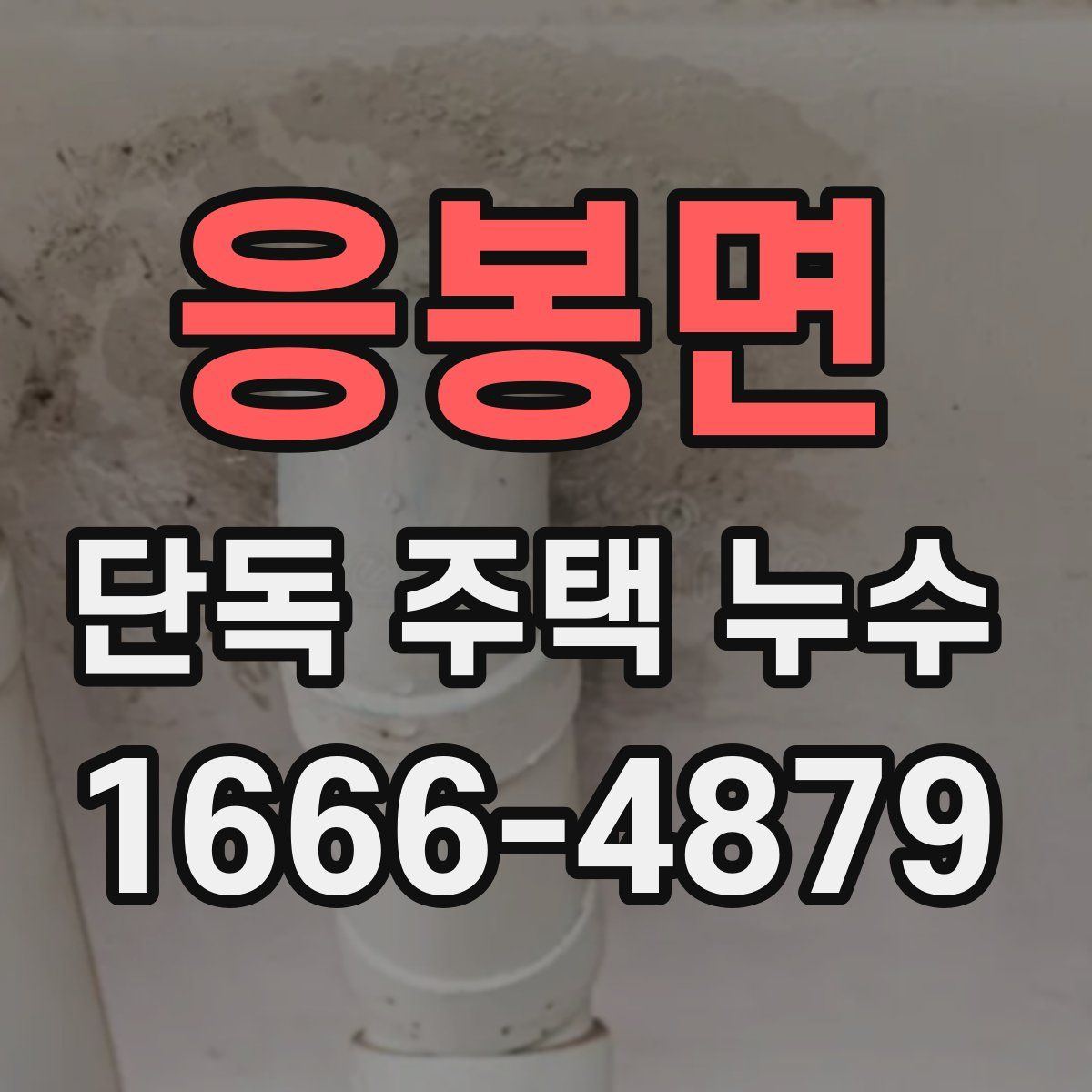 응봉면 단독 주택 누수