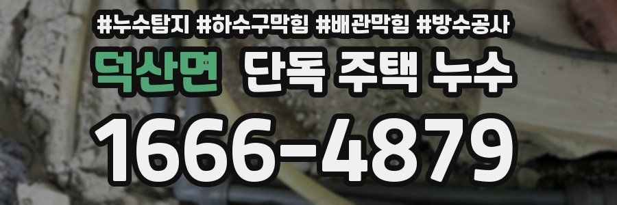 덕산면 단독 주택 누수