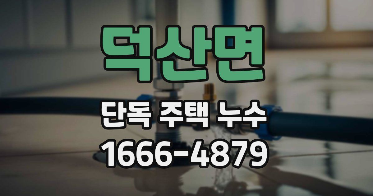 덕산면 단독 주택 누수