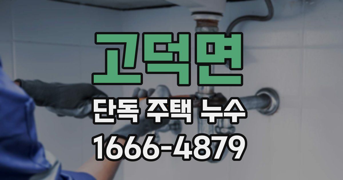 고덕면 단독 주택 누수