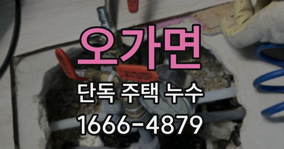 오가면 단독 주택 누수