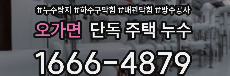 오가면 단독 주택 누수