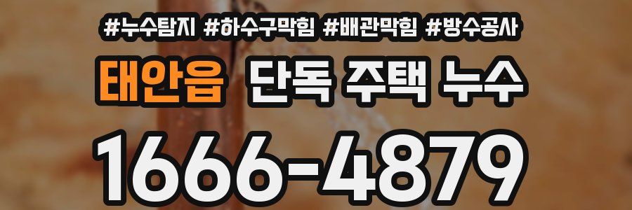 태안읍 단독 주택 누수