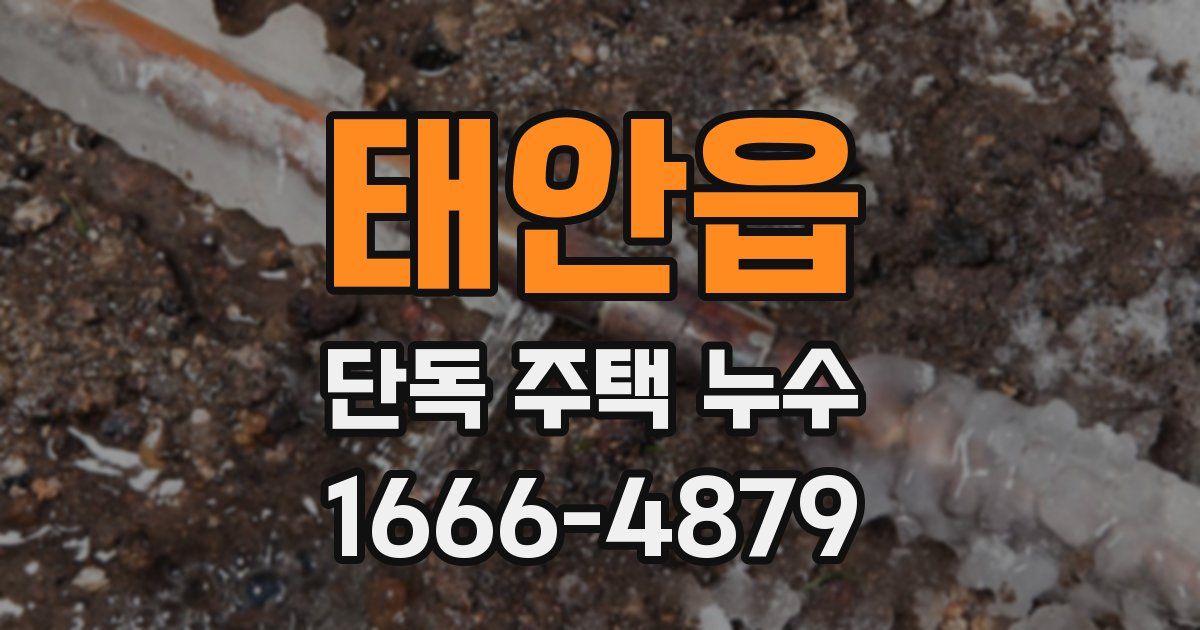 태안읍 단독 주택 누수