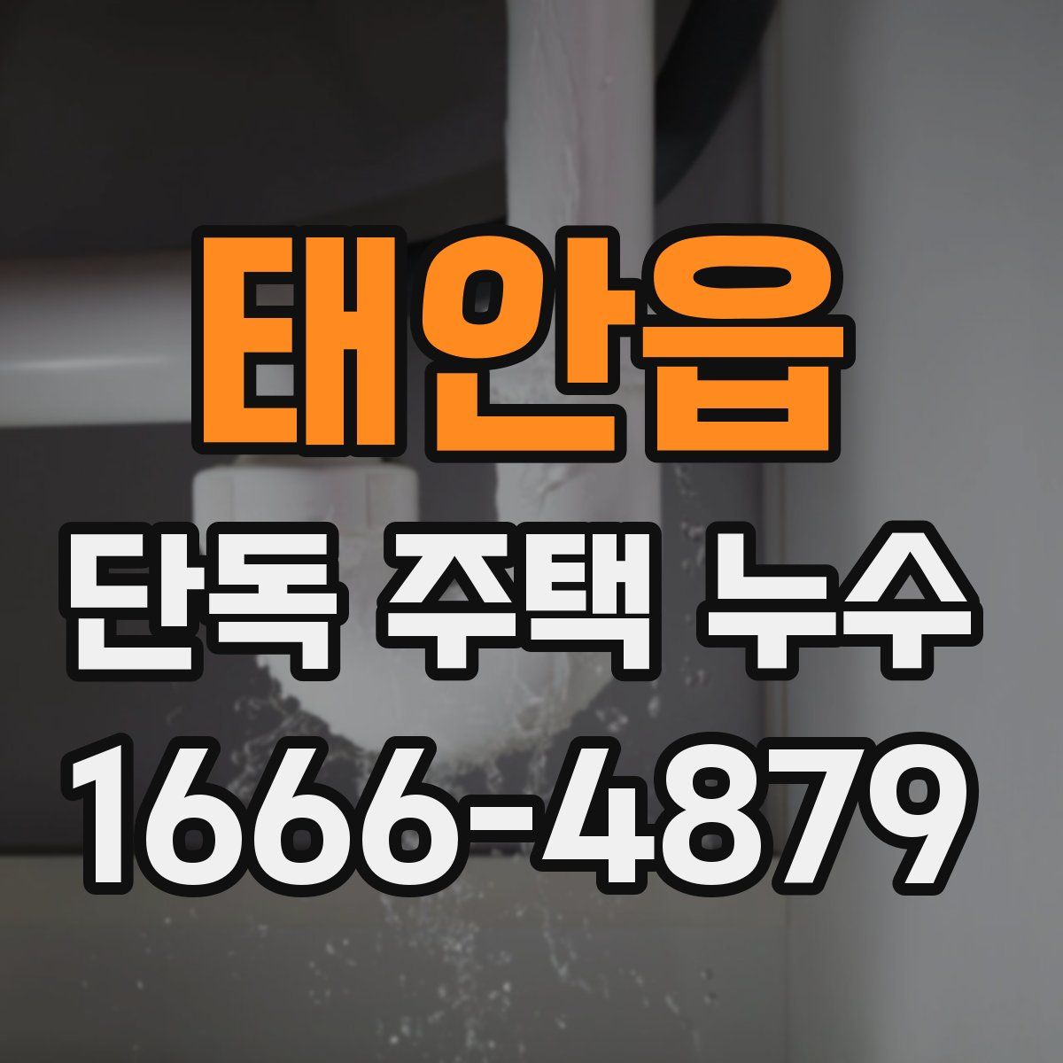 태안읍 단독 주택 누수