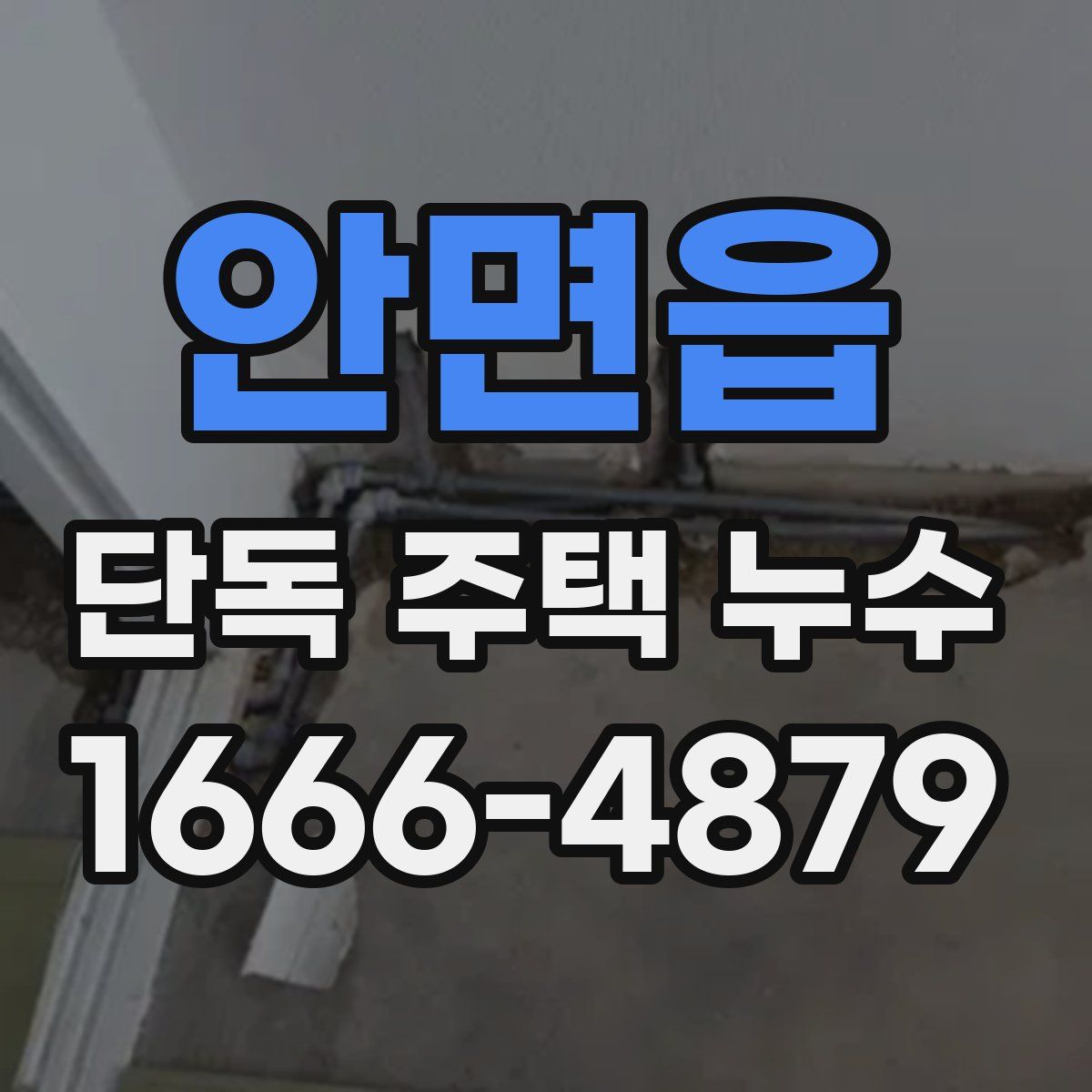 안면읍 단독 주택 누수