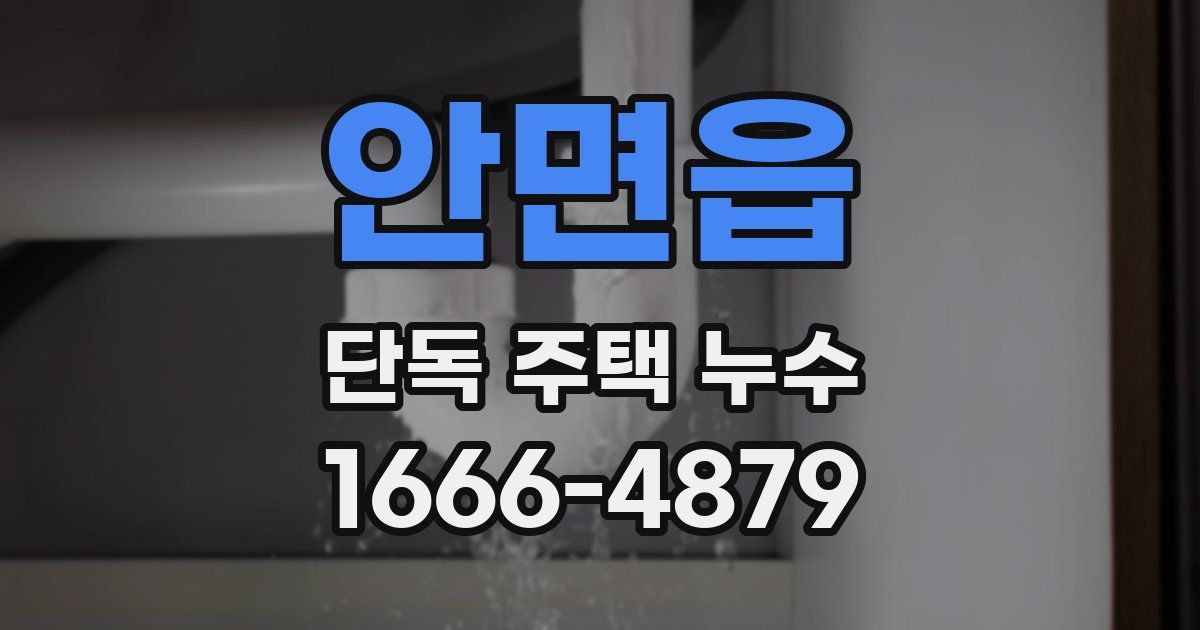 안면읍 단독 주택 누수
