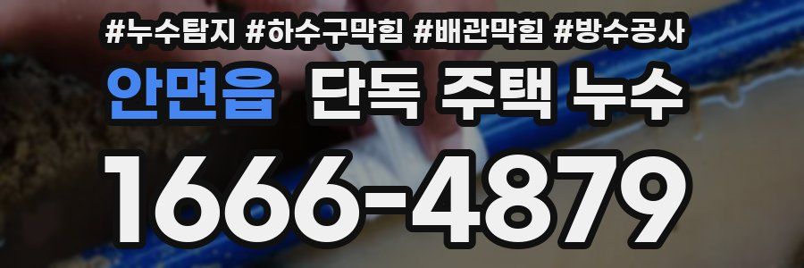 안면읍 단독 주택 누수