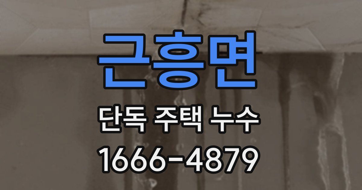 근흥면 단독 주택 누수