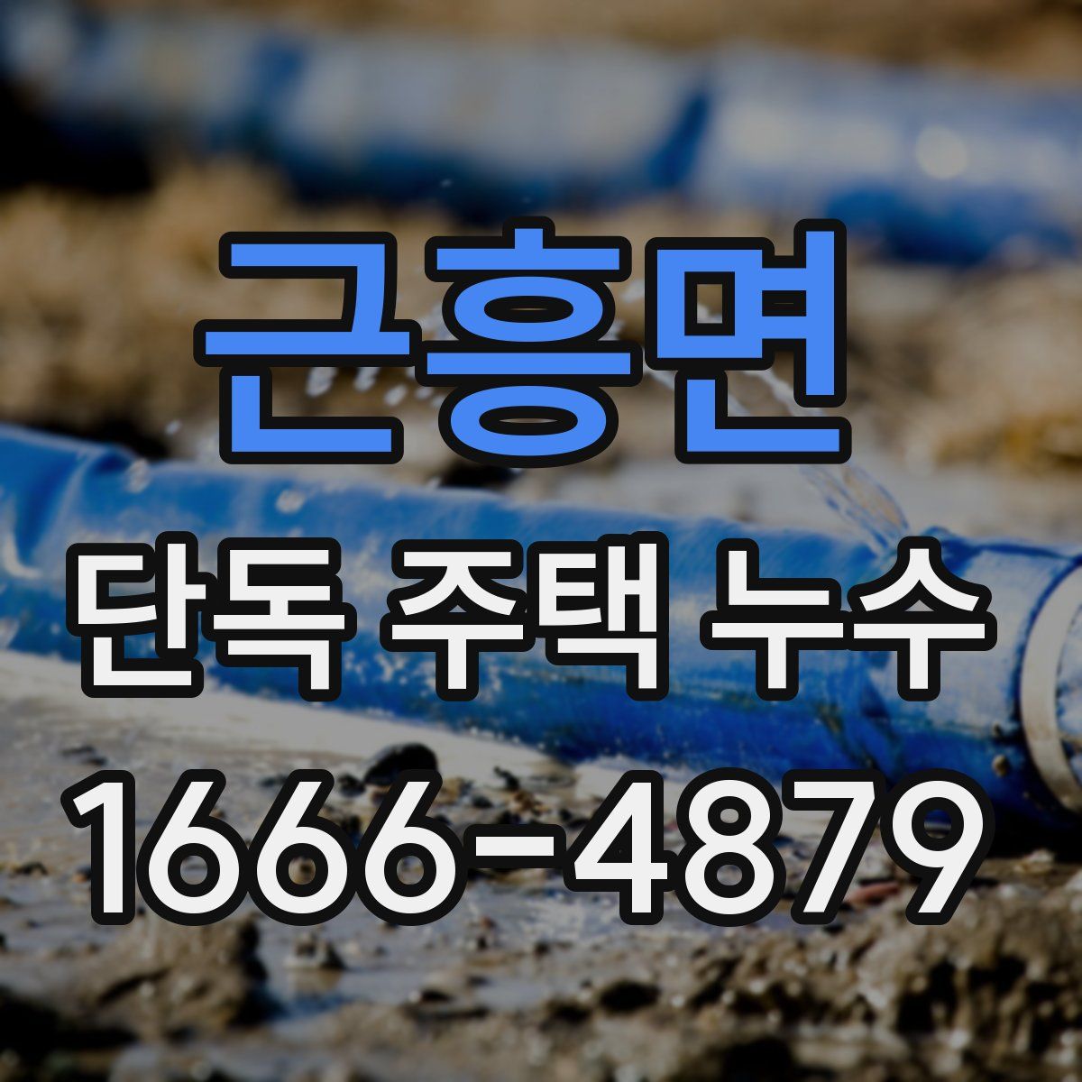 근흥면 단독 주택 누수