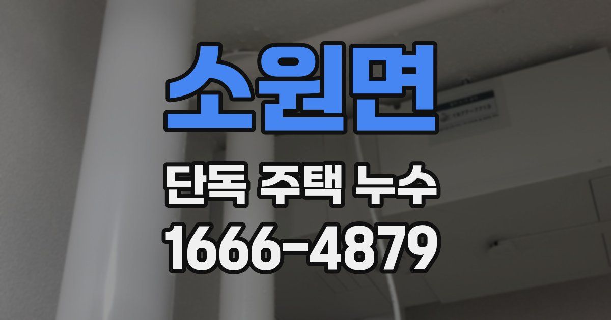 소원면 단독 주택 누수