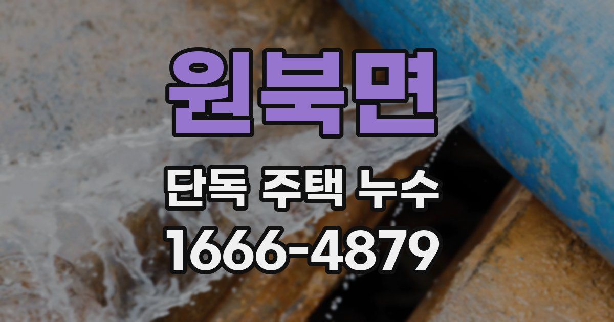 원북면 단독 주택 누수