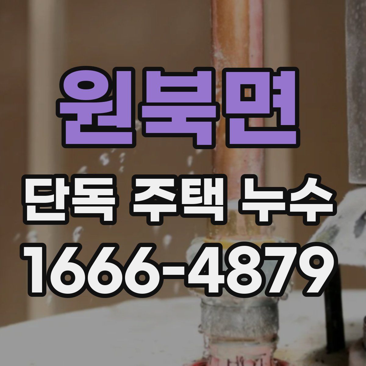 원북면 단독 주택 누수