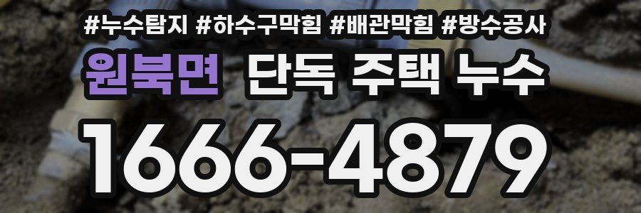 원북면 단독 주택 누수