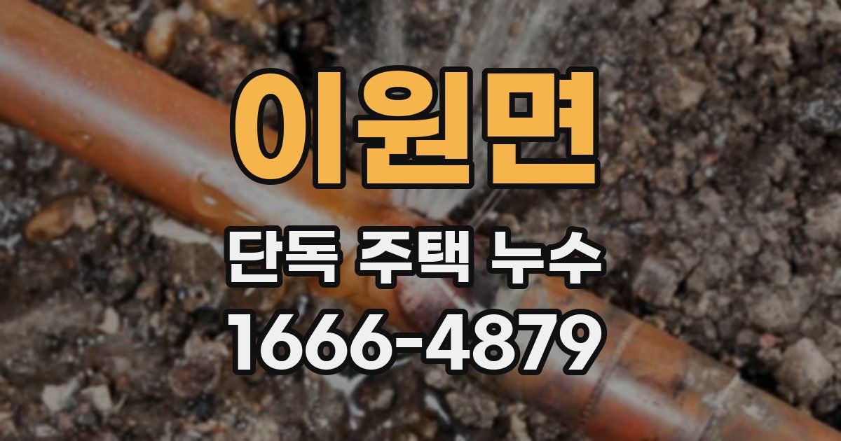 이원면 단독 주택 누수