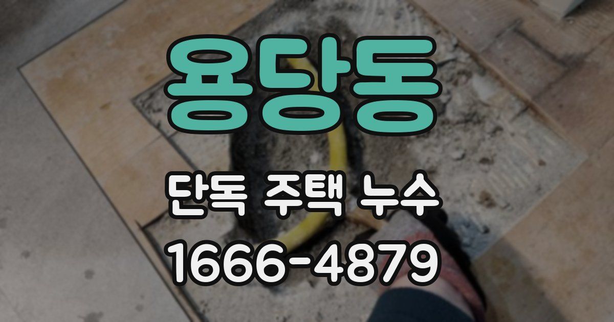 용당동 단독 주택 누수